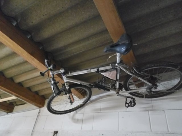 Bild von