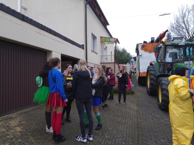 Bild von Fasching Umzug