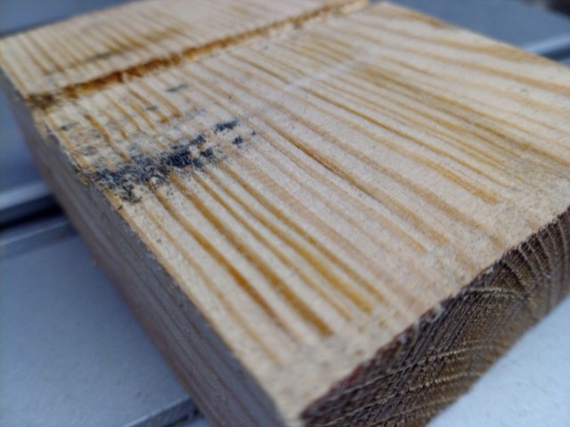 Bild von