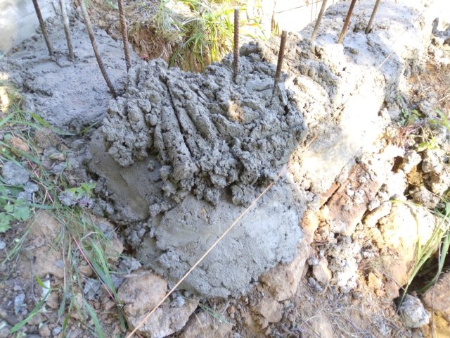 Bild von