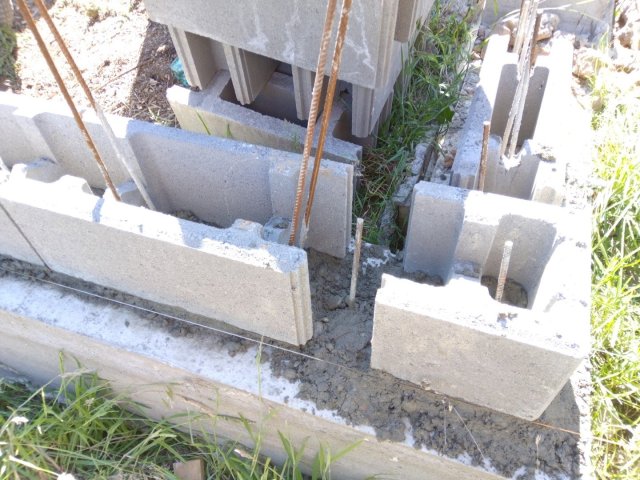 Bild von