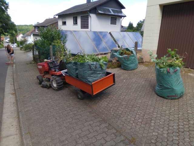 Bild von
