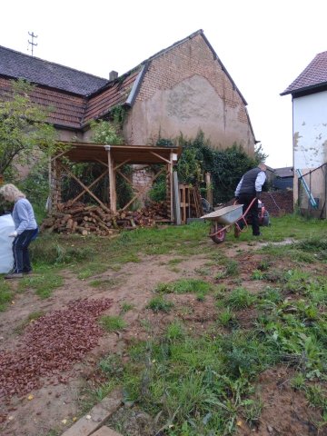 Bild von