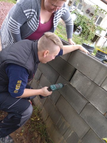 Bild von