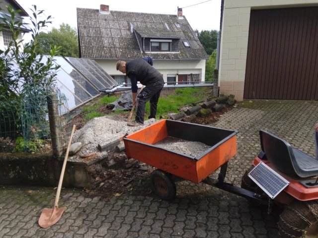 Bild von