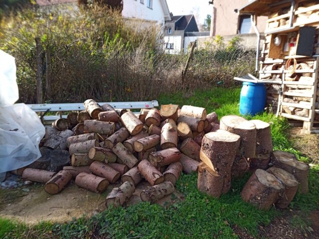 Bild von