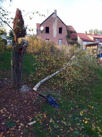 Bild von