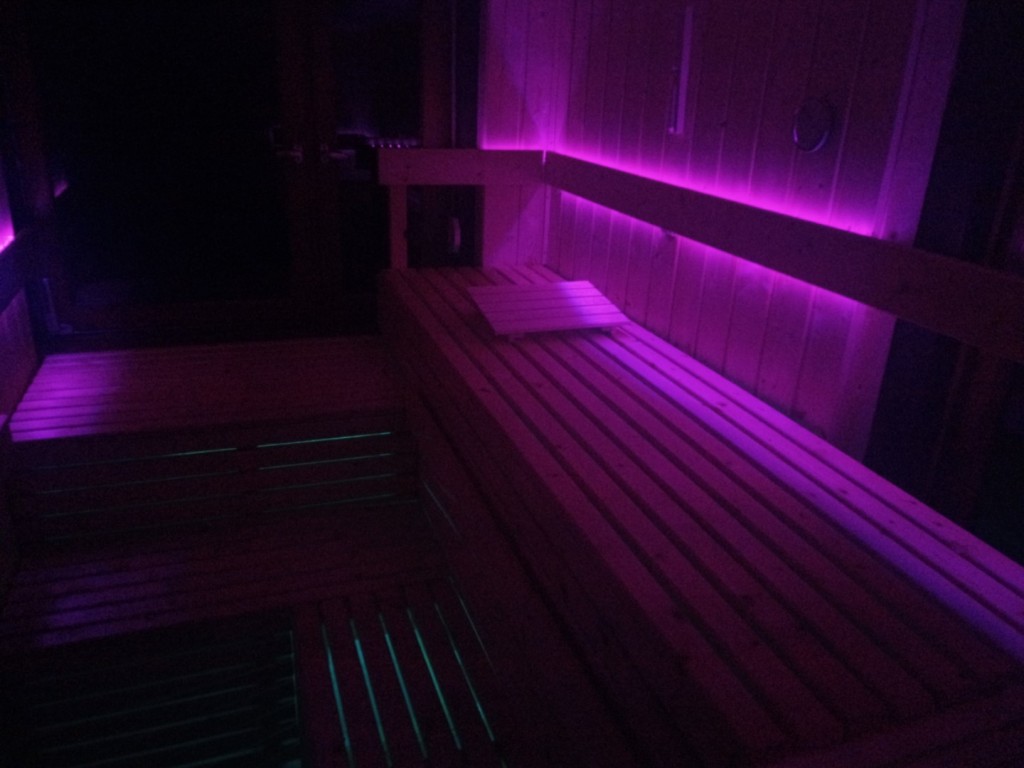 Sauna Gartenhaus LED Beleuchtung Liegen Bänke Innenraum selbstbauen