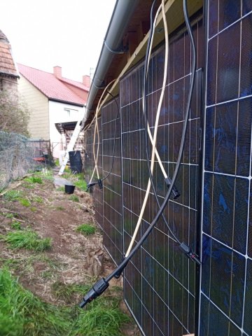 Bild von