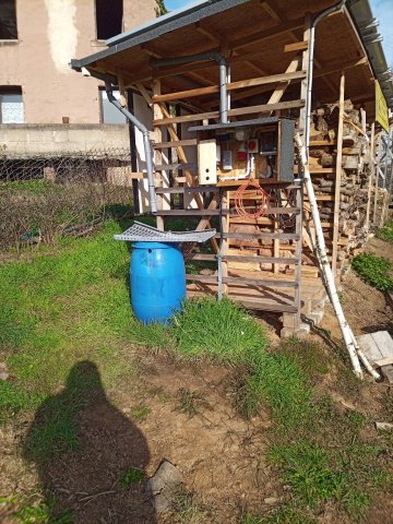 Bild von