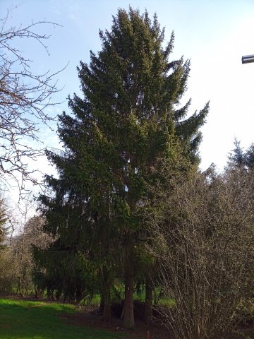 Bild von