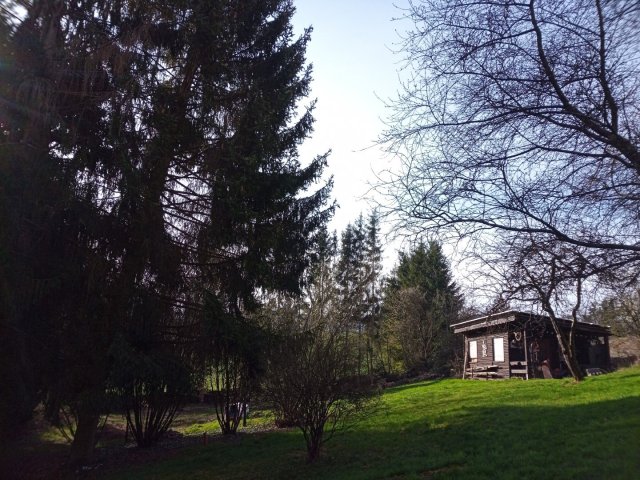 Bild von