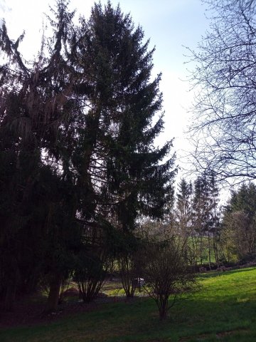 Bild von