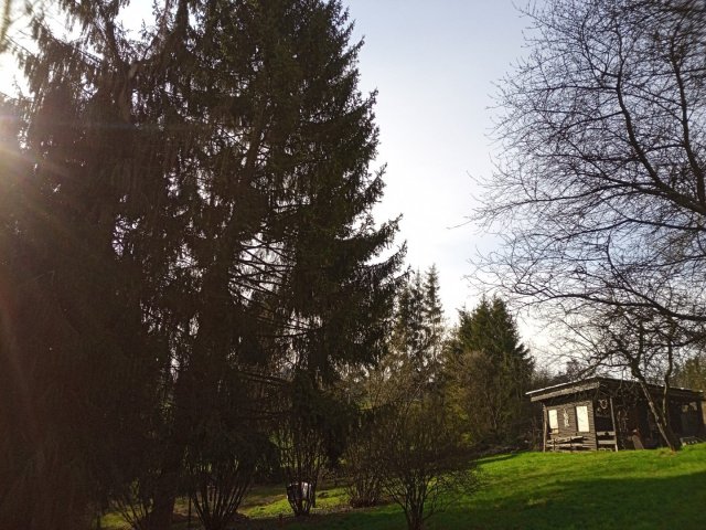 Bild von