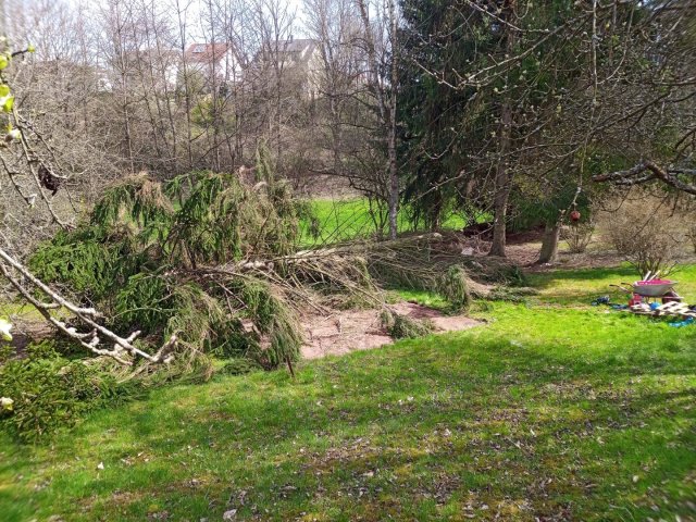 Bild von