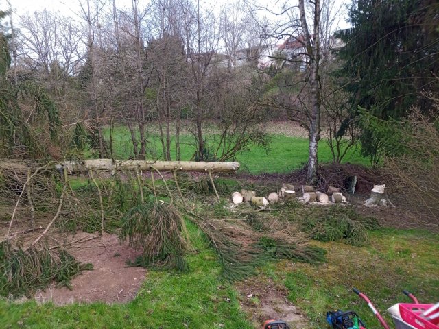 Bild von