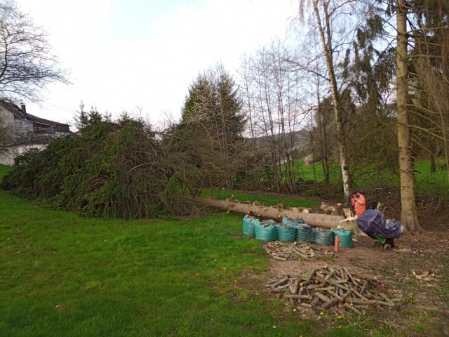 Bild von