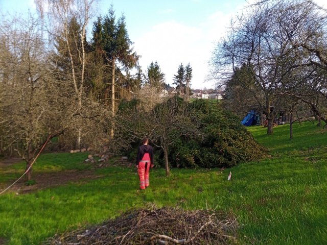 Bild von