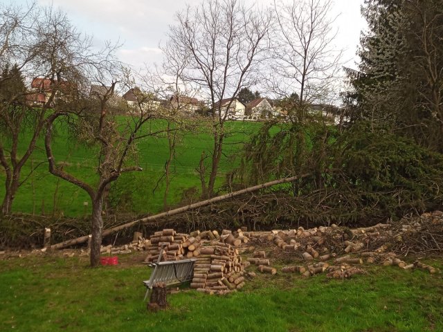Bild von