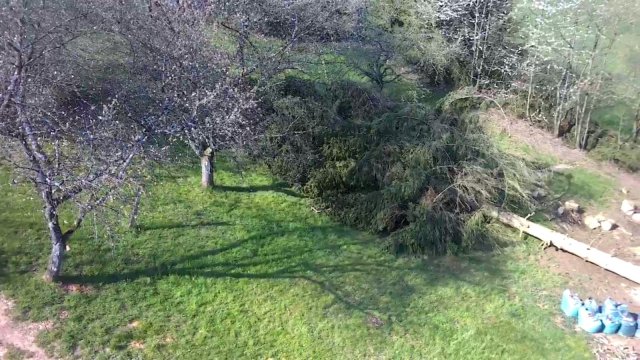 Bild von