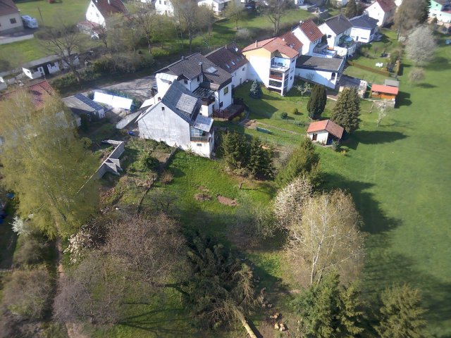 Bild von