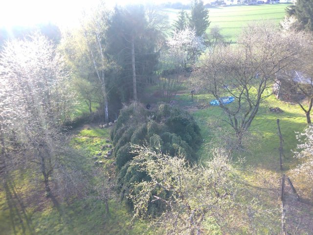 Bild von