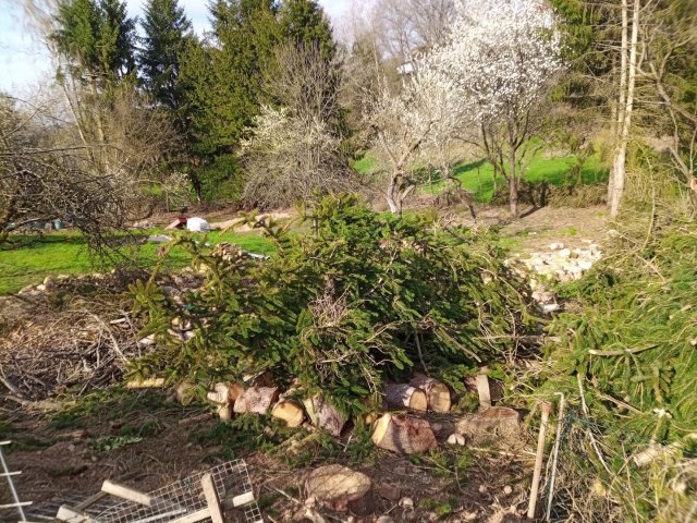 Bild von