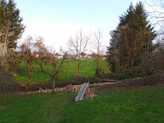 Bild von