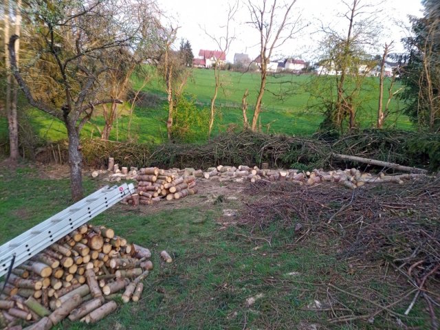 Bild von