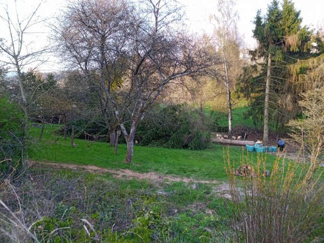 Bild von