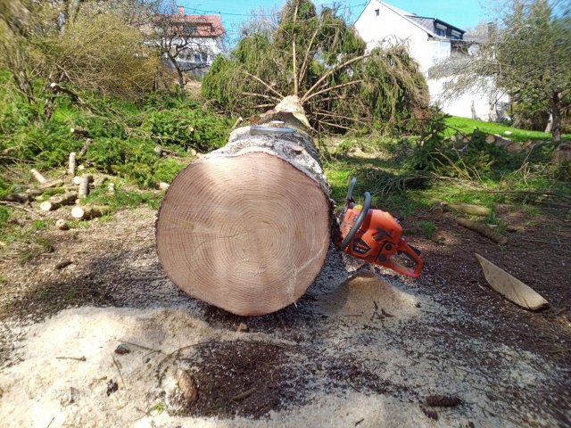Bild von chinesische Motorsäge dickes Holz Stamm 52cc 58cc 5200 5800 demon chainsaw kettensäge