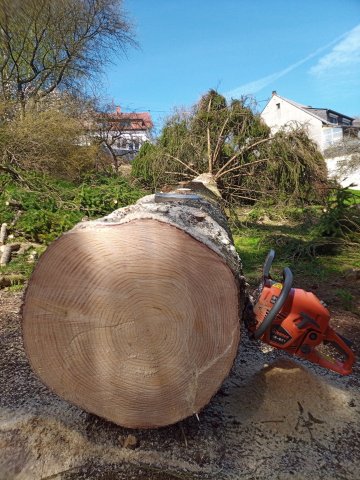 Bild von