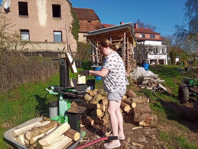 Bild von