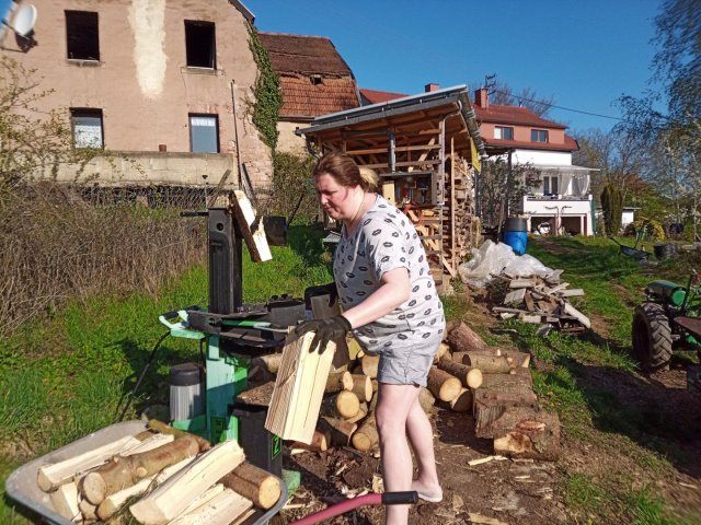 Bild von