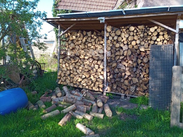 Bild von