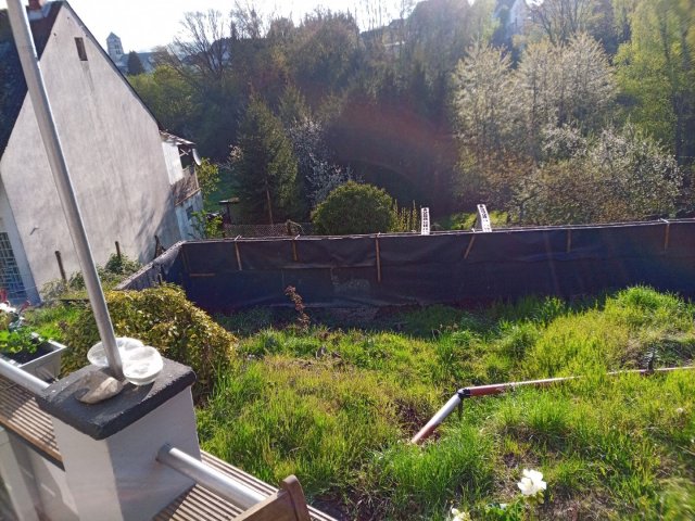 Bild von