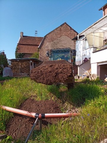 Bild von