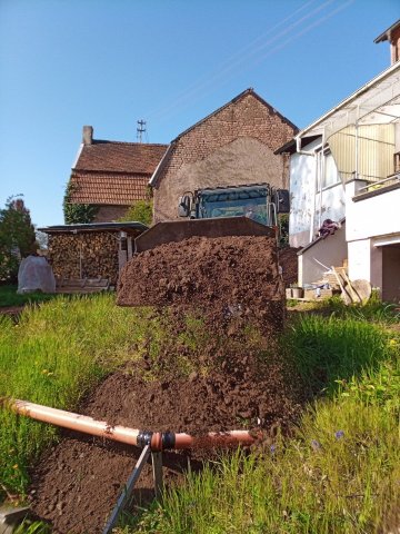 Bild von