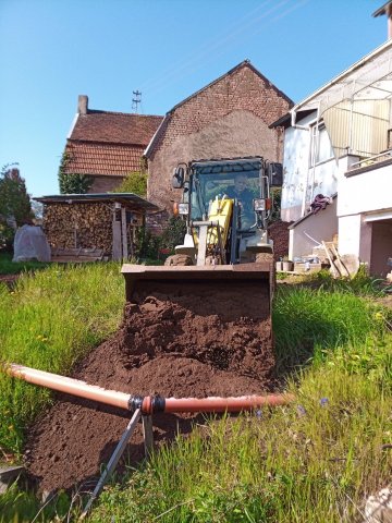 Bild von