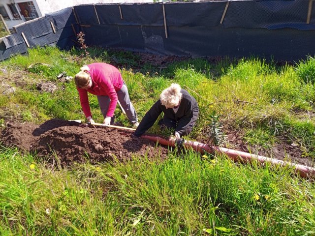 Bild von