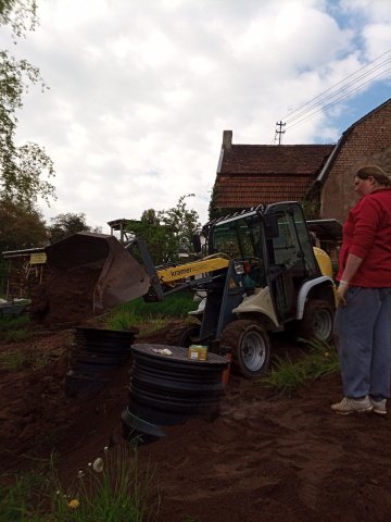 Bild von
