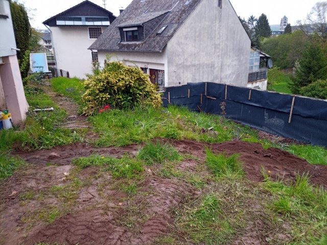 Bild von