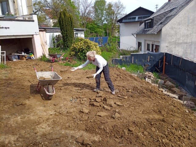 Bild von