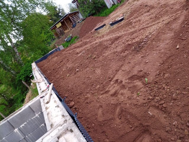 Bild von