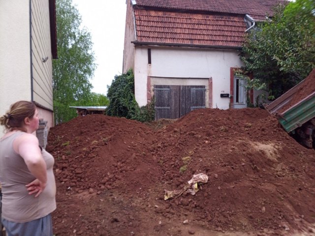 Bild von