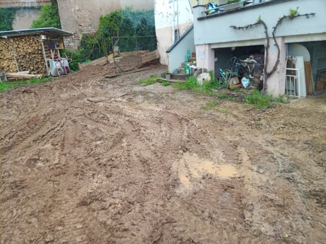Bild von