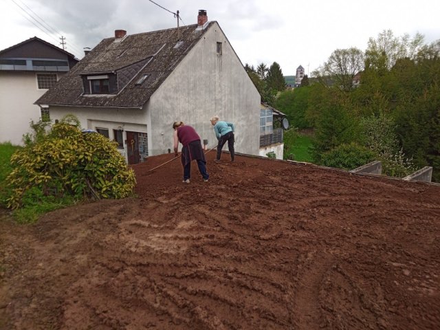 Bild von