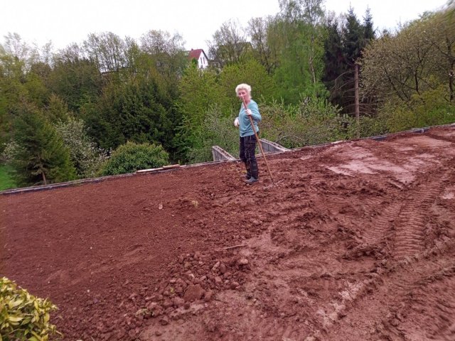 Bild von