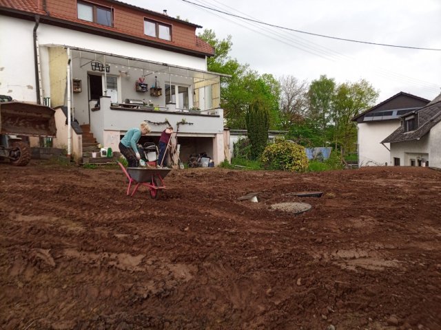 Bild von