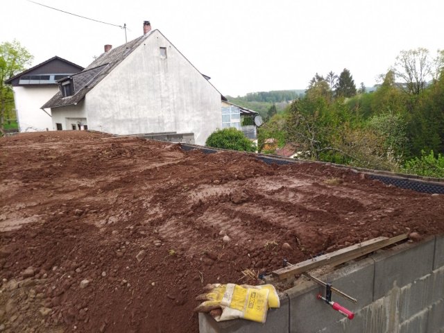 Bild von